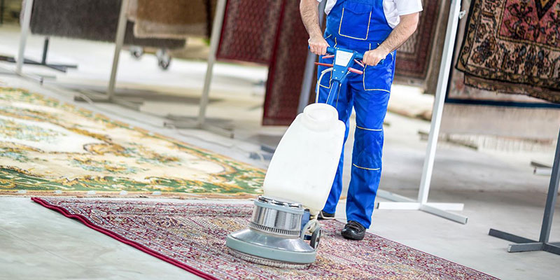 Söğüt Halı Yıkama